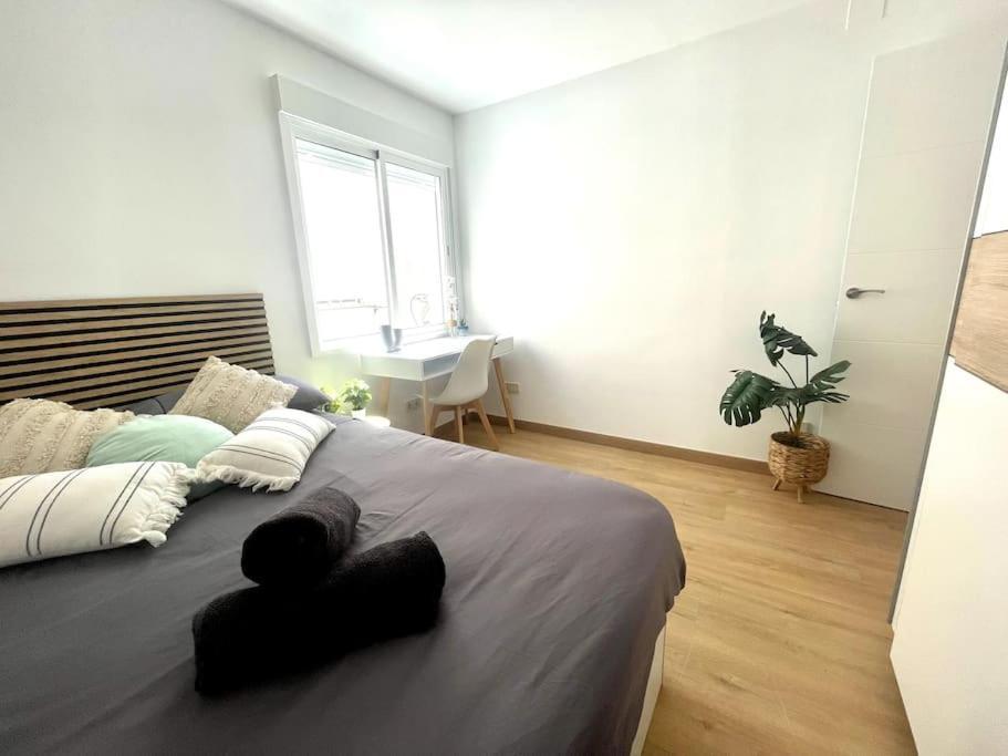 Apartamento Piso Con Gran Terraza