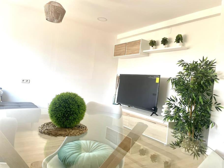 Apartamento Piso Con Gran Terraza *