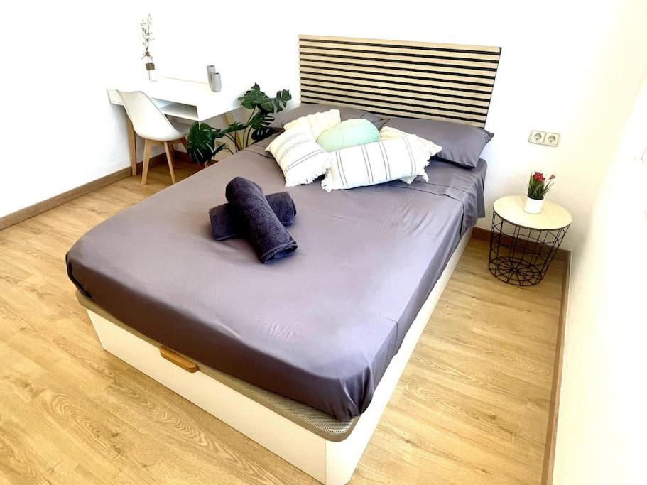 Apartamento Piso Con Gran Terraza